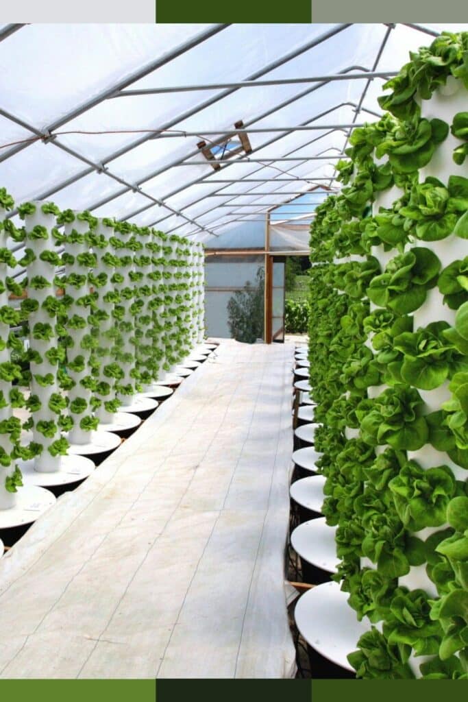30+ Grow Room Design Ideas | Professional Grow Room Setup