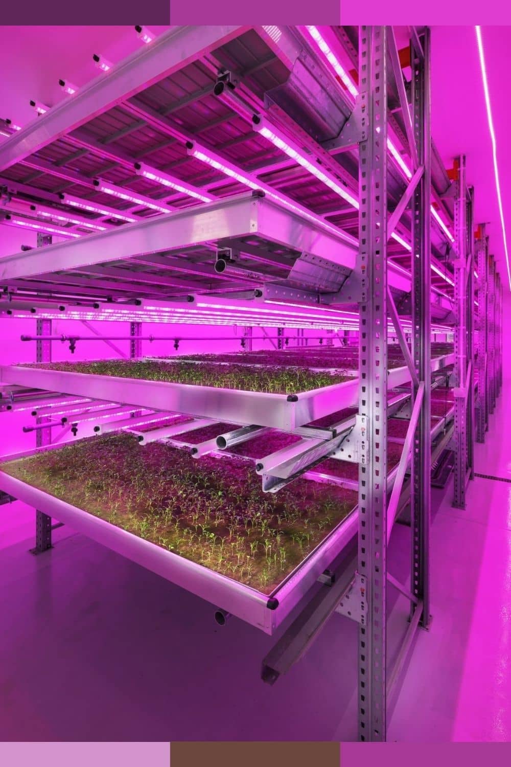 hydroponic grow room design