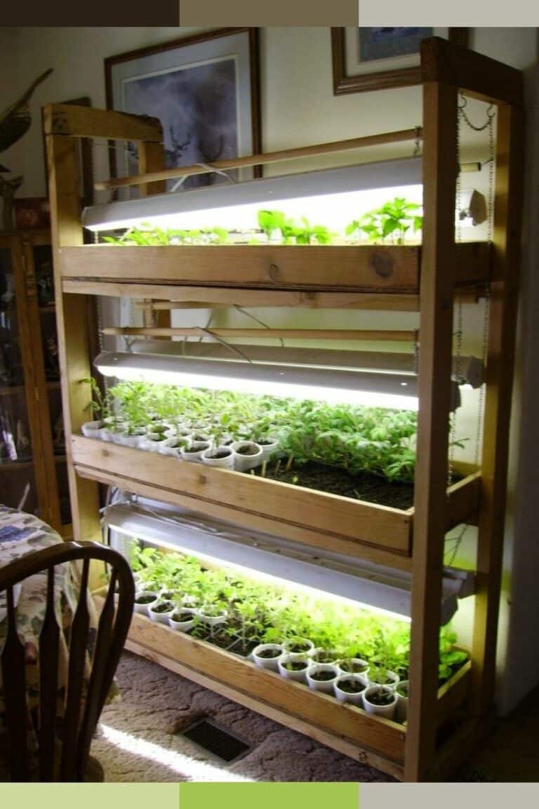 30+ Grow Room Design Ideas Professional Grow Room Setup