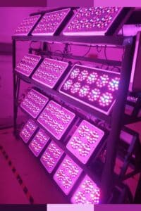 30+ Grow Room Design Ideas 