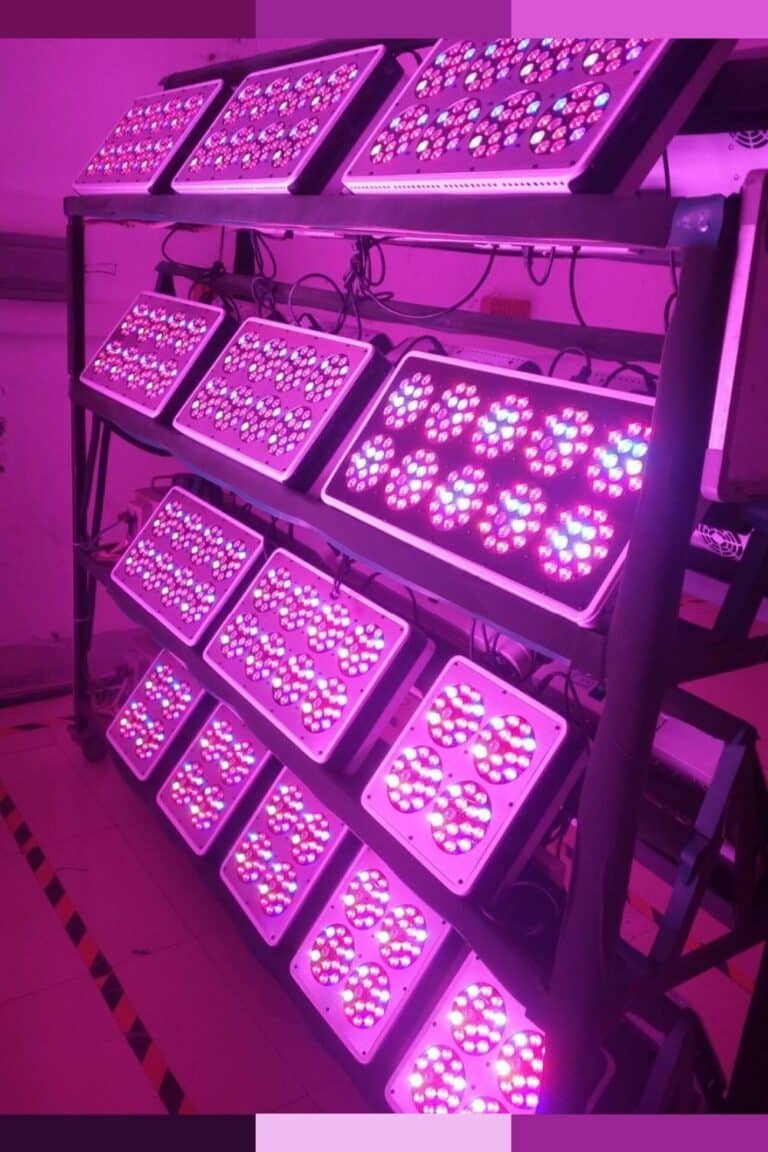 30+ Grow Room Design Ideas | Professional Grow Room Setup