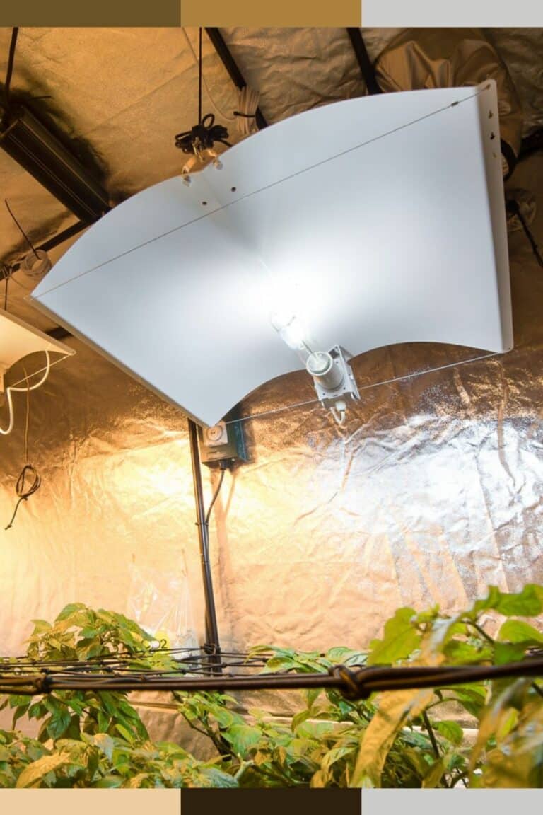 30+ Grow Room Design Ideas Professional Grow Room Setup