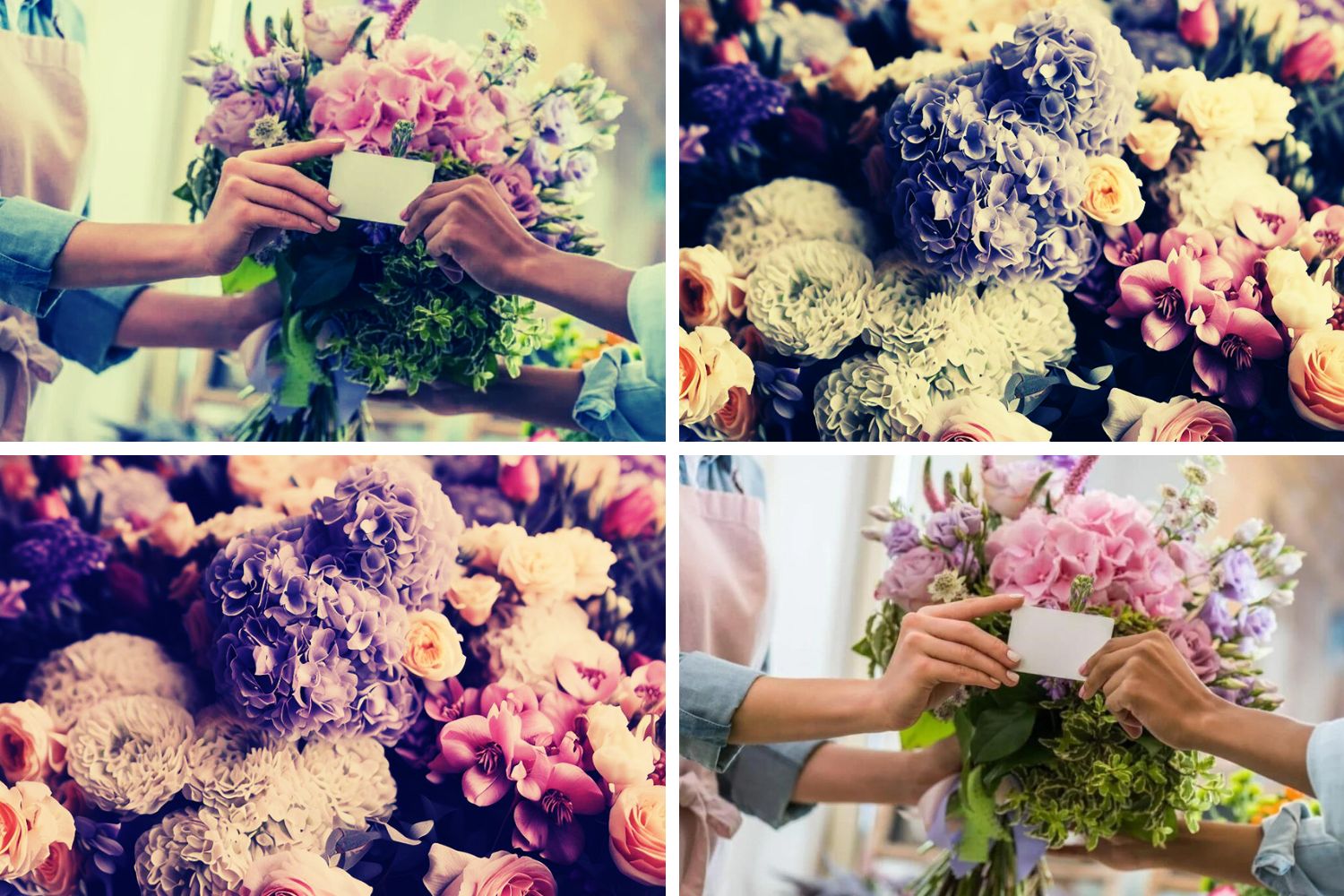 Flowers for Him | How to Choose the Flowers for Your Men