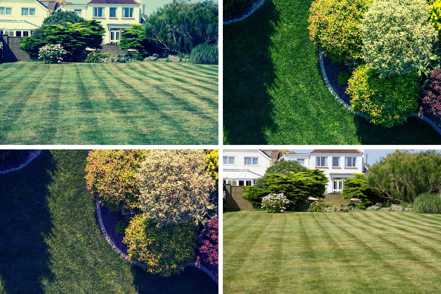 Top 6 Things Every Landscape Business Owner Should Know Farm Fresh 