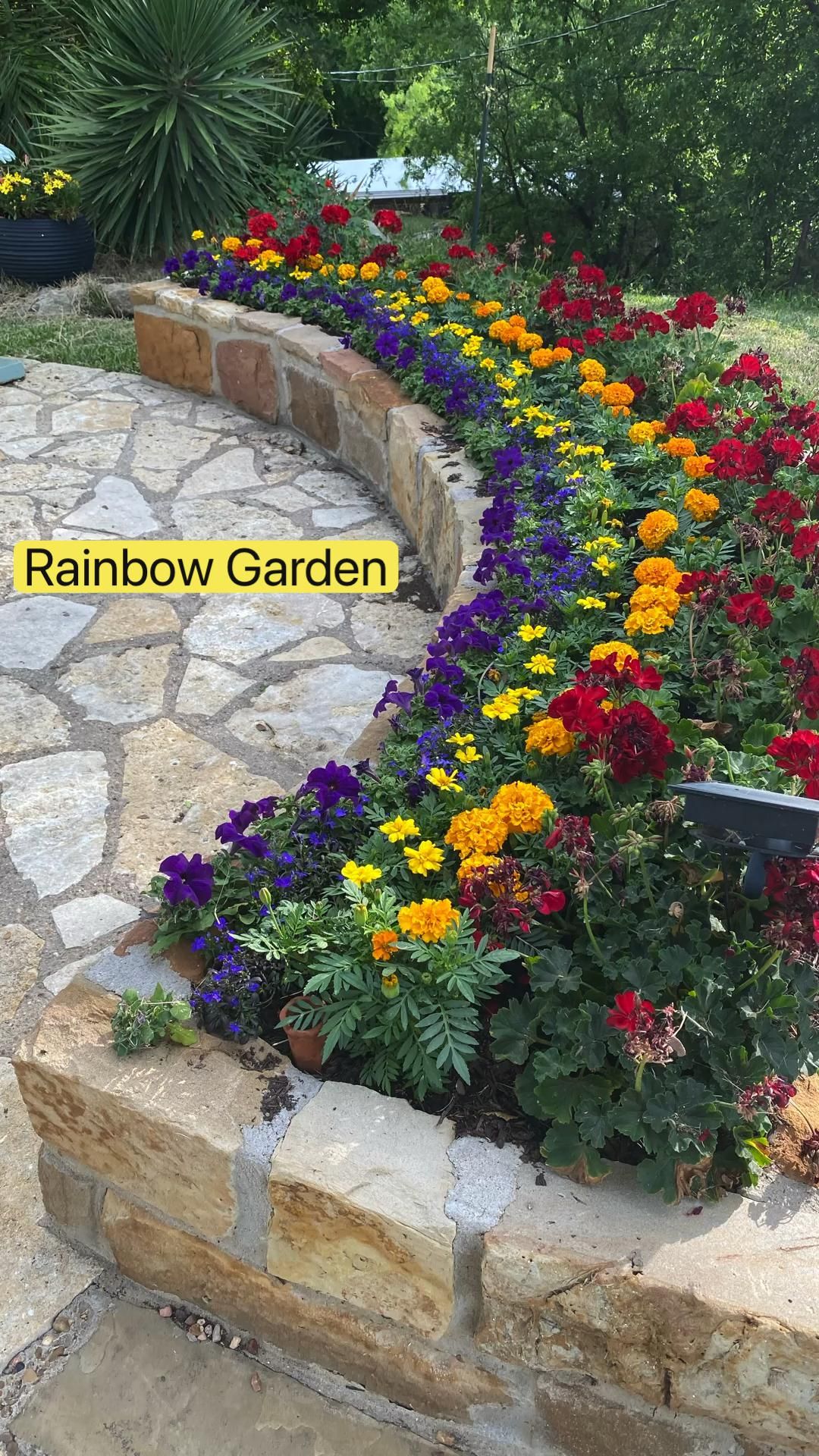 17 Beautiful Narrow Flower Bed Ideas That Will Transform Your Garden (You Won't Believe #5!) - 1. Colorful Layered Blooms 1