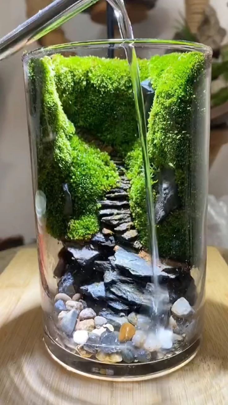 19 Luxury Indoor Gardens Under Stairs That Will Transform Your Home into a Botanical Paradise! - 18. Sustainable Indoor Gardening Practices 1